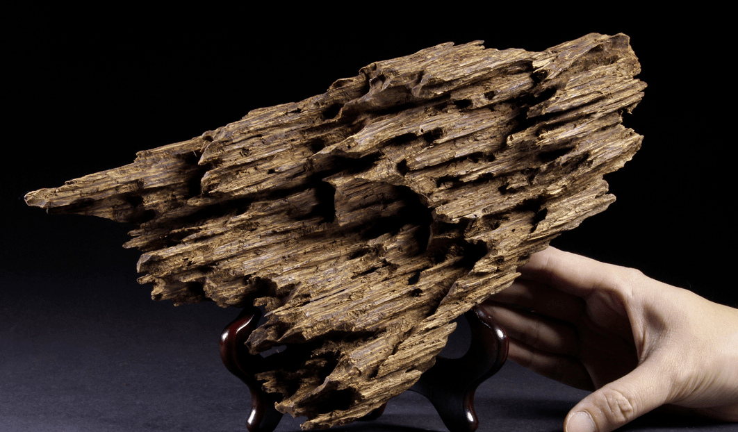 沉香的分类大全