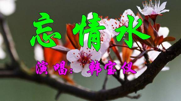 韩宝仪一首经典情歌《忘情水》好听极了