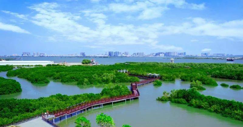 徒步南海旅游岛,遇见山海焕新之美_华侨城