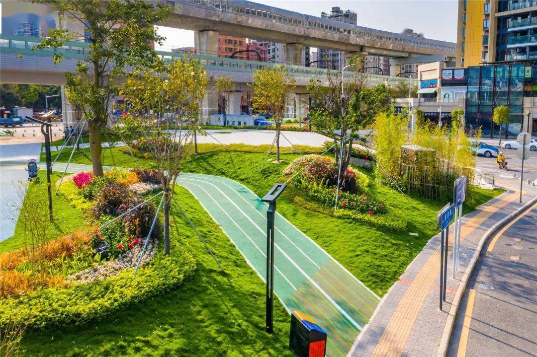 6万平方米.未来,龙华还将有更多高颜值城市绿化景观在路边街角绽放
