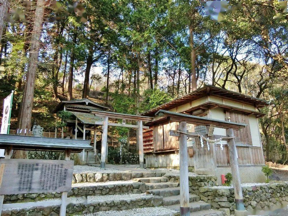 为了不秃头日本人建了一座御发神社人气还超级旺