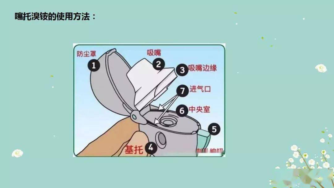 ppt常用气雾剂的使用方法