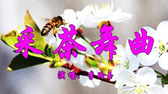 李玲玉演唱经典老歌采茶舞曲甜美至极