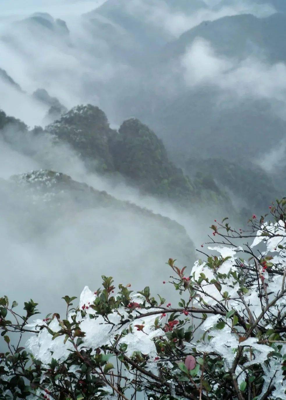 别错过拍摄大明山最美雾凇这份攻略请收好