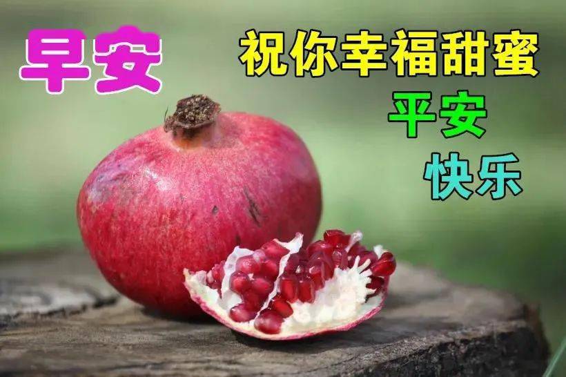 冬日群发早安问候祝福语动态图片早上好问候动画水果图片