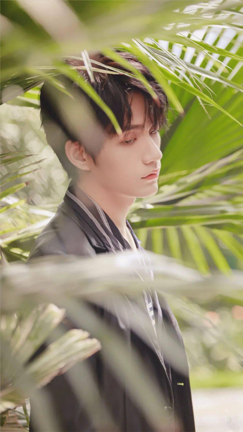 手机壁纸r1se张颜齐