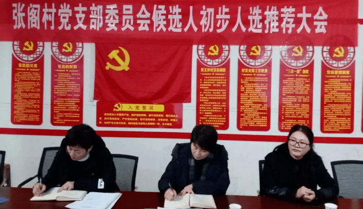 淮阳区委常委组织部长崔卫华深入乡镇调研指导村两委换届工作