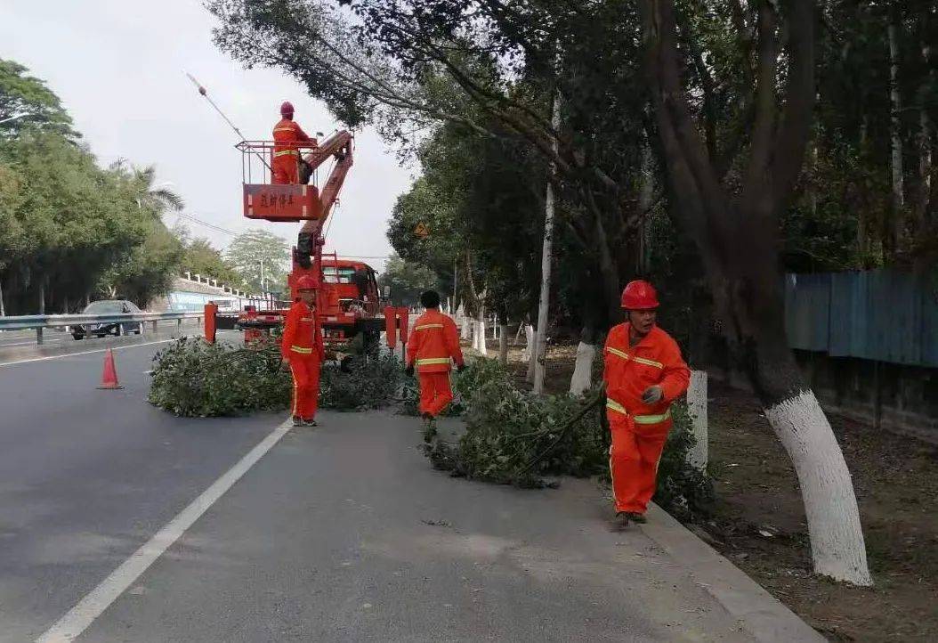 公路养护修剪树枝除隐患提升路容保平安