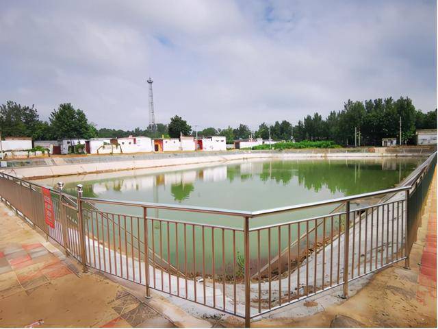 做乡村建设的参与者和主力军——走访山东聊城阳谷县