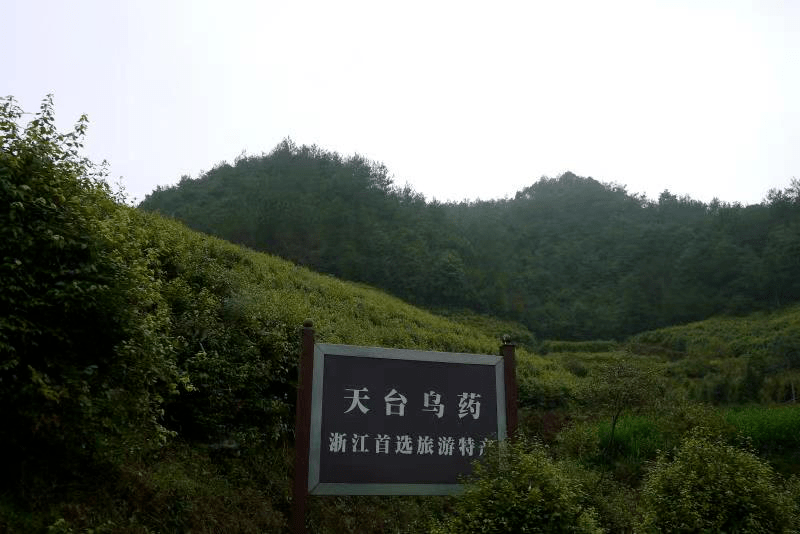 零突破┃三州乡沙岭村下屋村创成浙江省3a级景区村庄