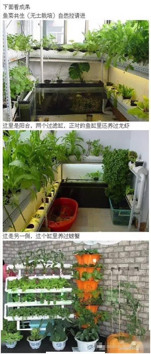 pvc管种菜设计图利用pvc管阳台种菜的方法201230