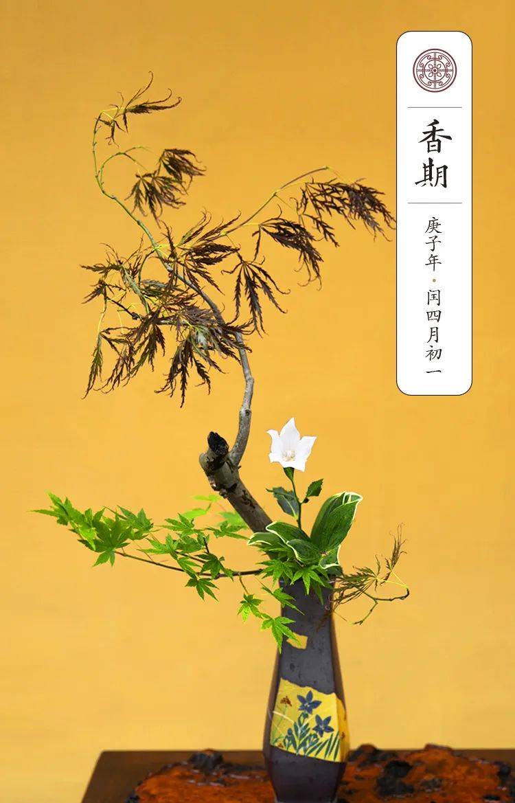 邀请专业花艺师配合寺院法师插花供佛,总计30