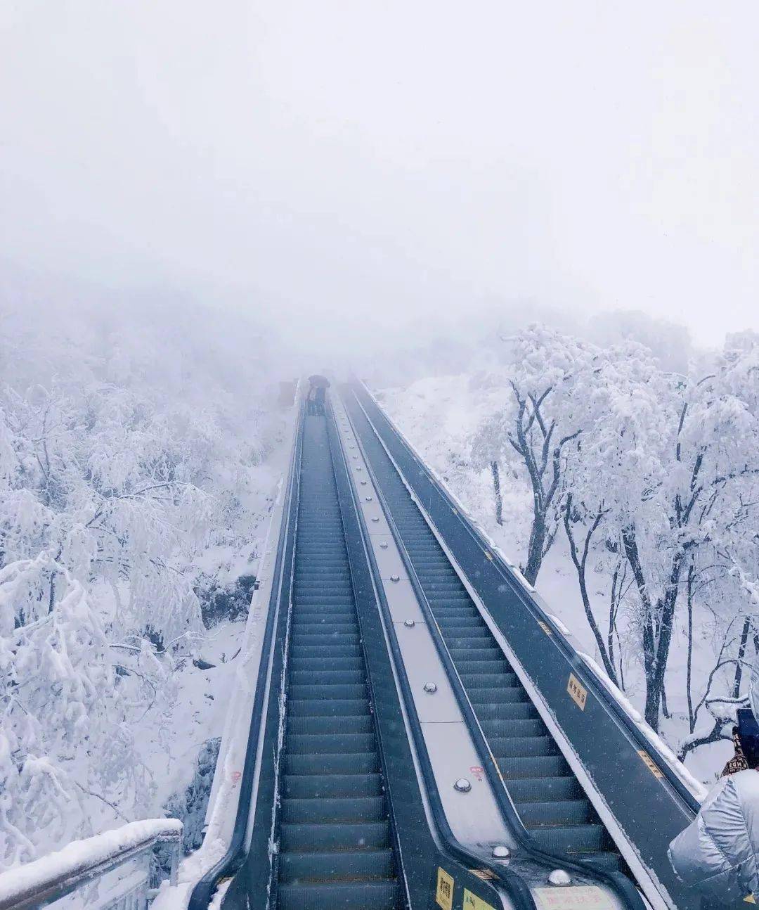 龙头山年冰雪期长达4个多月,无论西安的天气晴与否,都不影响去汉中赏