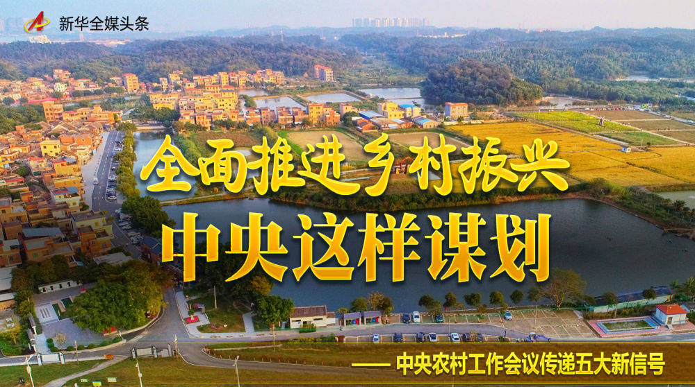 全面推进乡村振兴,中央这样谋划——中央农村工作会议传递五大新信号