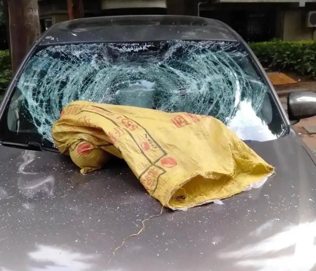 一个玻璃泡酒瓶,一把木柄拖把,一张塑料椅子,一个塑料垃圾桶,从客厅