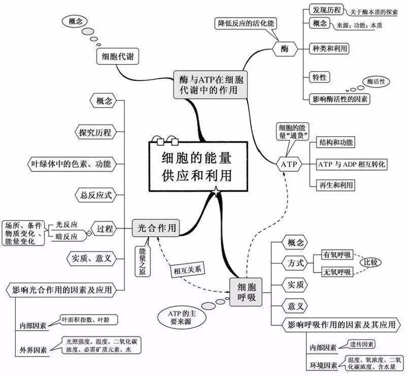 超全整理20張生物思維導圖最全版本