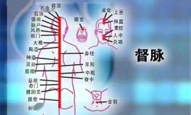 背部督脉:人体的"1号线"中医认为:让五脏六腑的阳气都生发出来,关键
