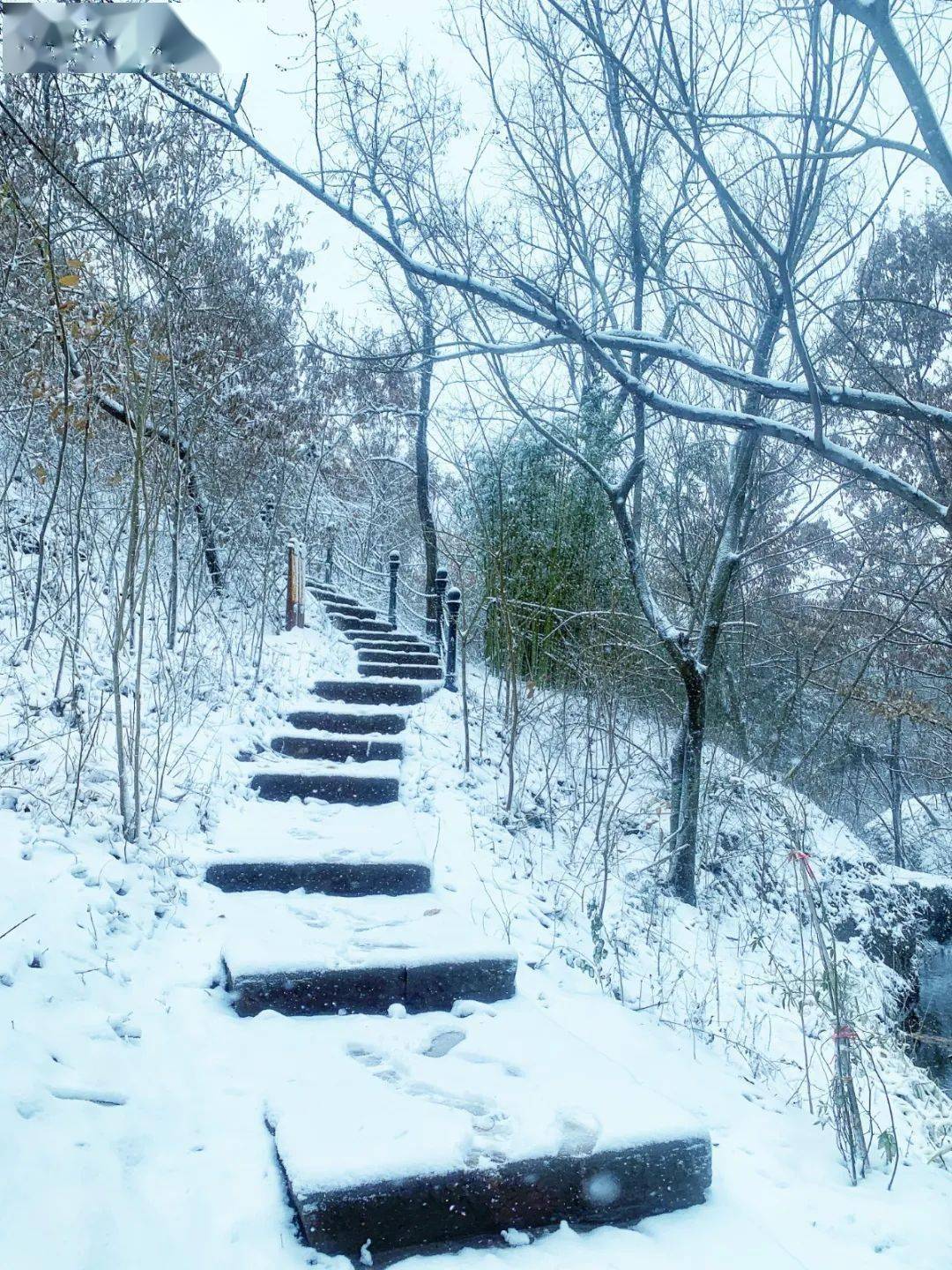 马陵山滑雪图片