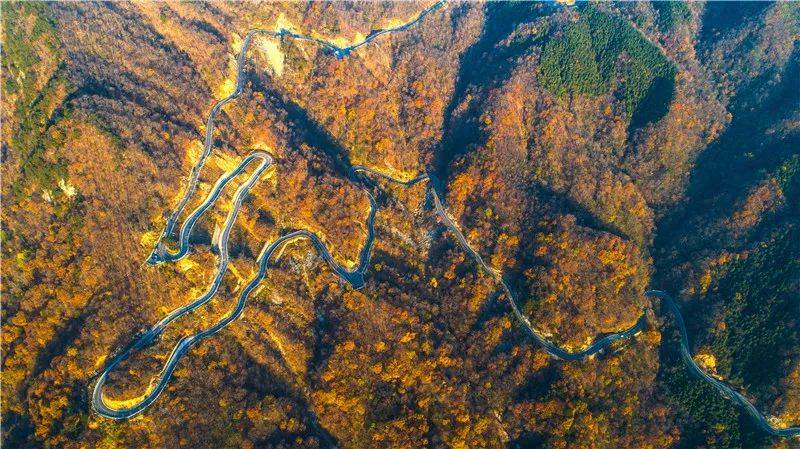 金寨这条公路在全国出名了!