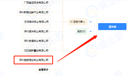 都是大佬碧桂园豪夺本月第4地龙光进军牛田洋片区