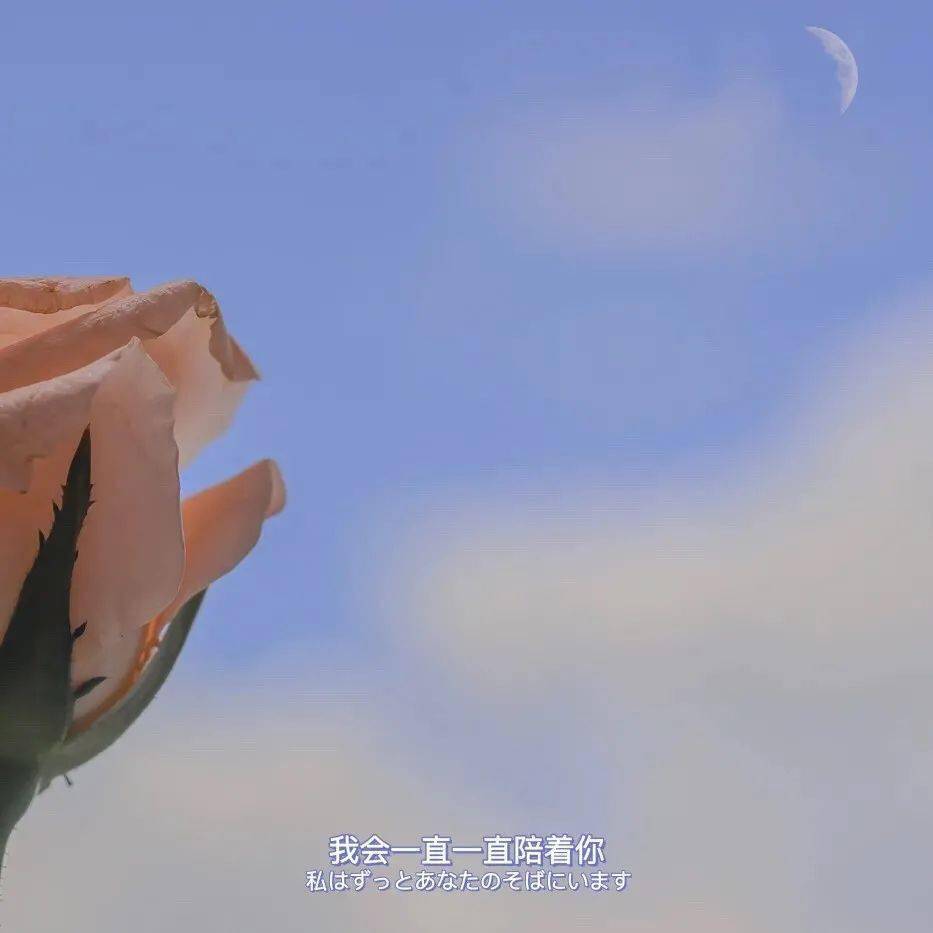 微信文字背景图