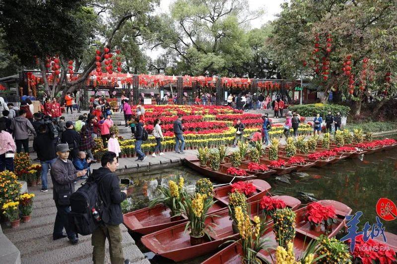 【新知】年味与花香百年情缘:老广为何对“行花街”如此执迷?_花市