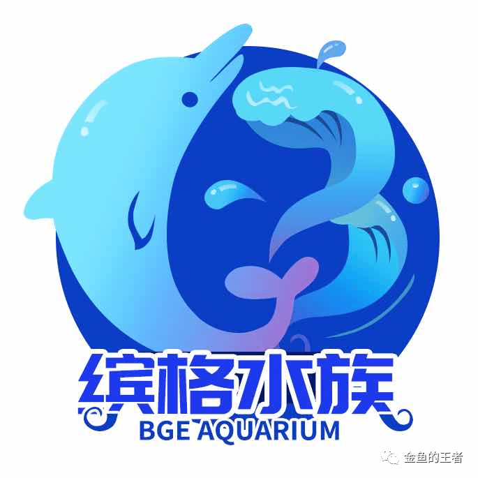 缤格水族贺新年:微店折扣力度大,尼特利乐迪爆藻灯助你早日清水绿苔!