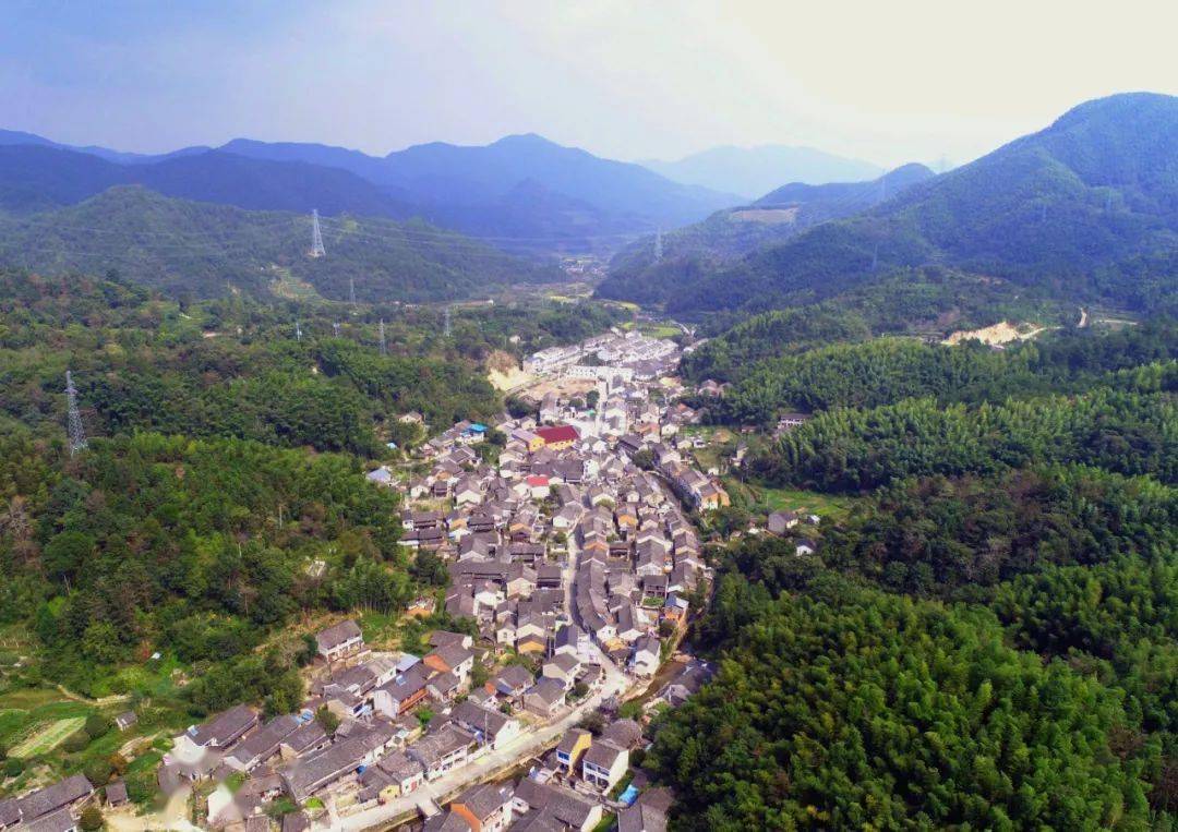 大堰镇箭岭村这里平时是村民休闲纳凉的好去处,古树的树龄均达百年.