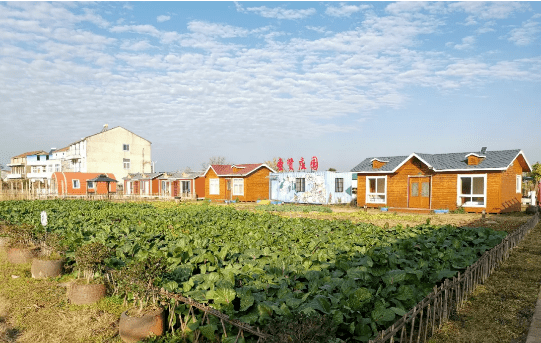 决战决胜脱贫攻坚圣贤优农拓宽造血脱贫路