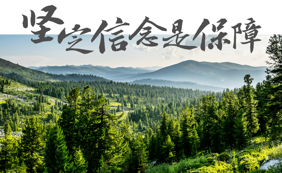 新年献词 | 大道甚夷,光明在前