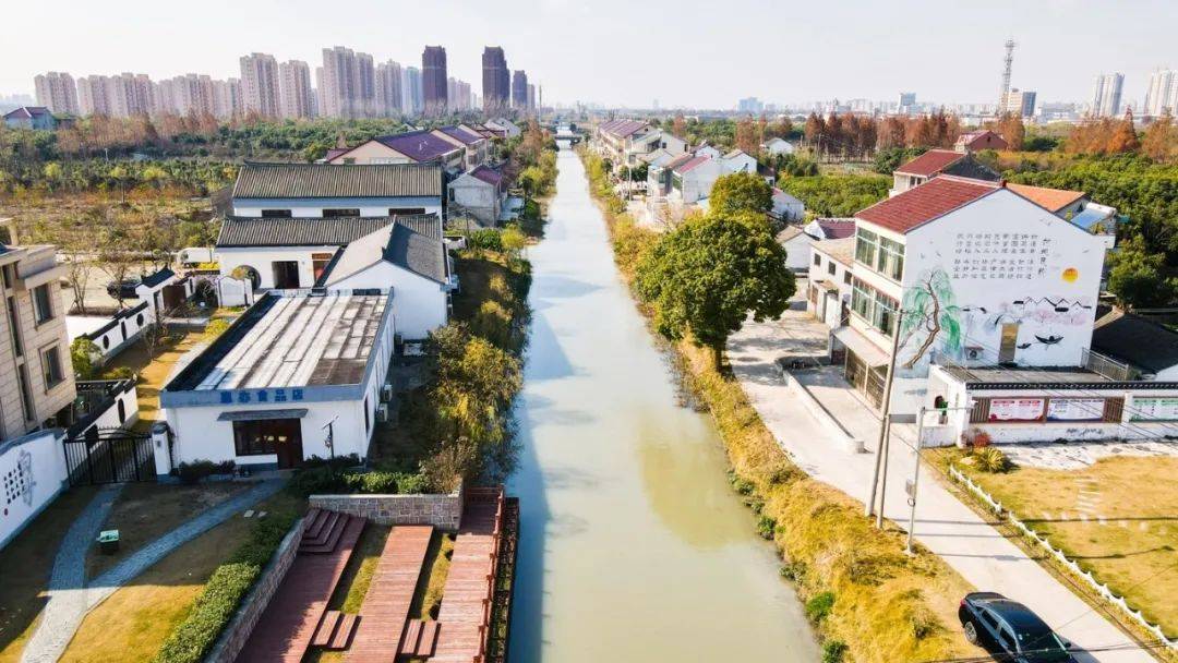 褚家中心河浦南运河(洪运路至瓦洪公路段)浦南运河(万佛阁桥至奉海