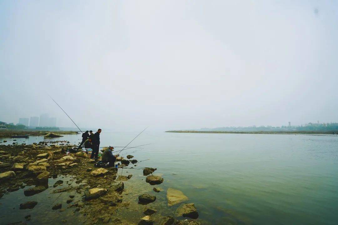 钓鱼窍门:学会巧用这几种钓鱼小技巧,让钓鱼之路更加有趣!