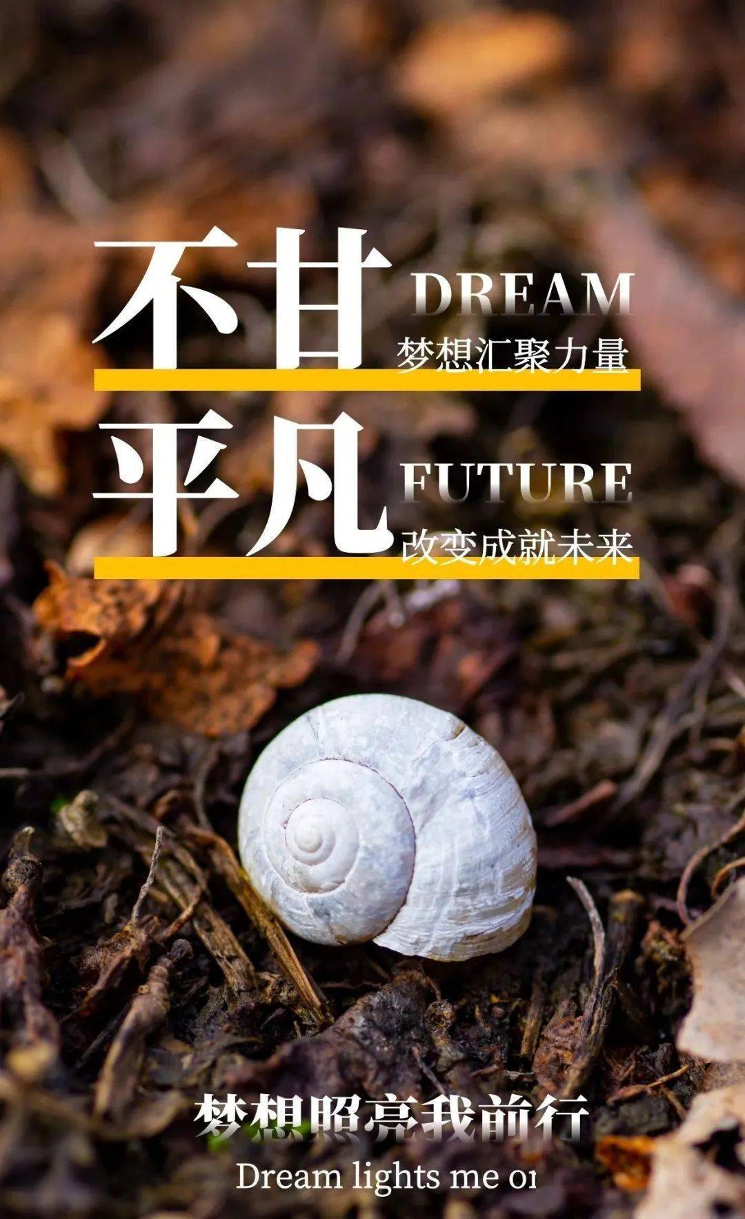 新的一年,加油!