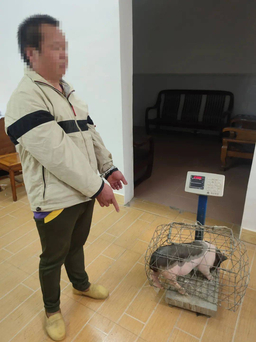 容县杨村派出所两天破获2起盗窃案查处1起赌博案,偷猪男子被抓!