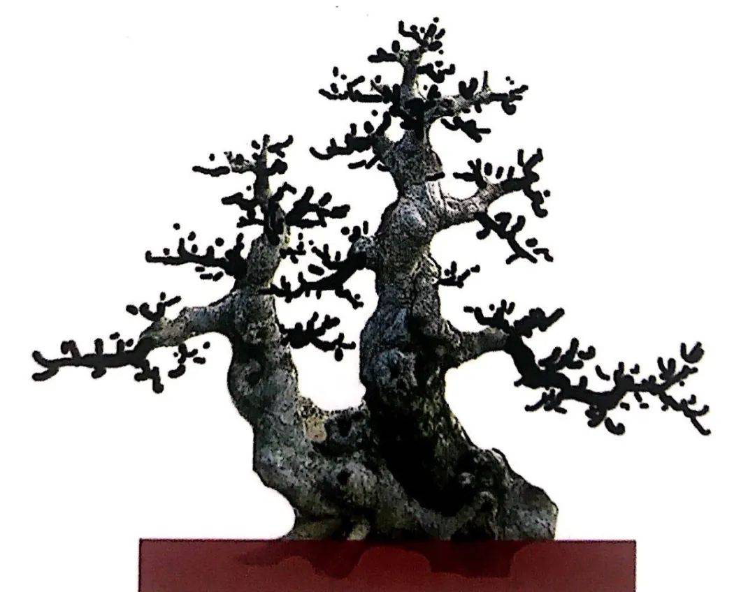 树桩造型是保留双干,三干还是多干,还得树桩自己说了算!