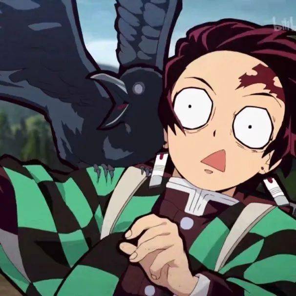 奇奇怪怪的日本丨日本乌鸦比人类还嚣张的大佬级生物