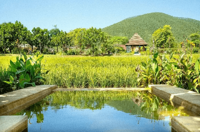 将温泉和田野景色完美融合在泡温泉的同时,享受静谧悠闲的田园乐趣