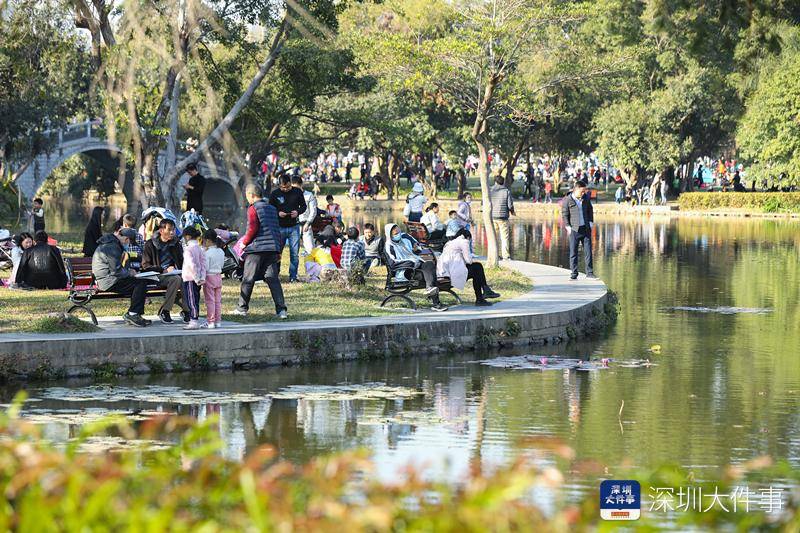 元旦三天假期，深圳市属公园接待游客136万余人次