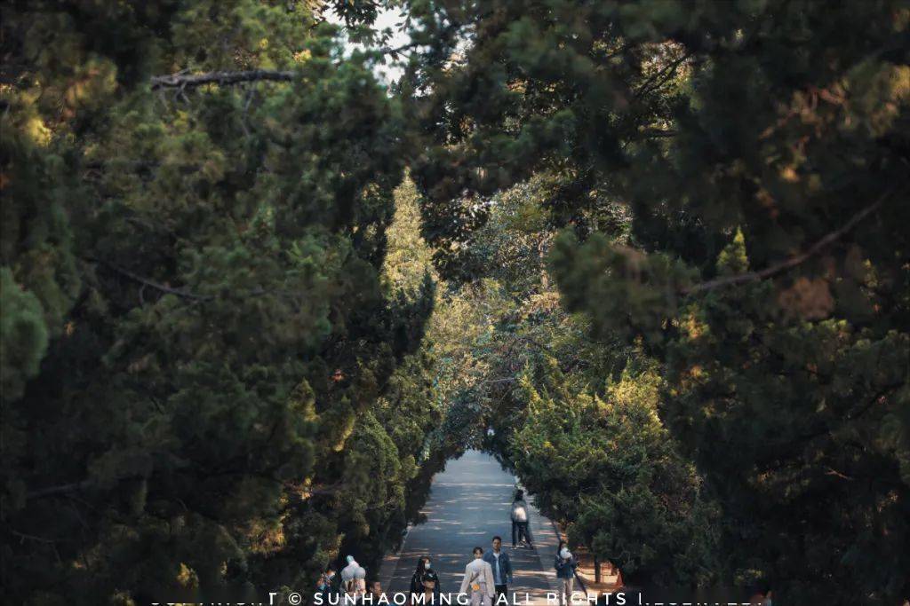 跟着易烊千玺打卡青岛送你一朵小红花最全取景地盘点来啦文末福利
