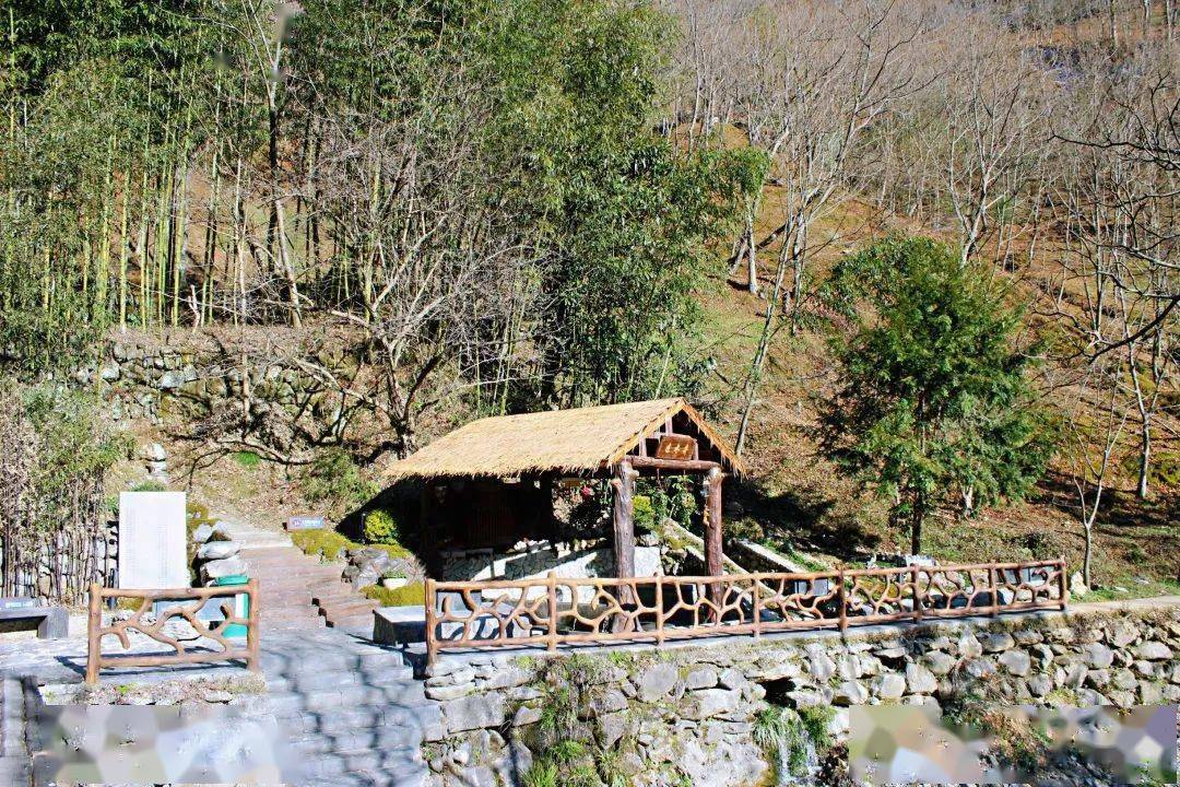 临安区新时代美丽乡村建设成果展一湍口镇桐坑村