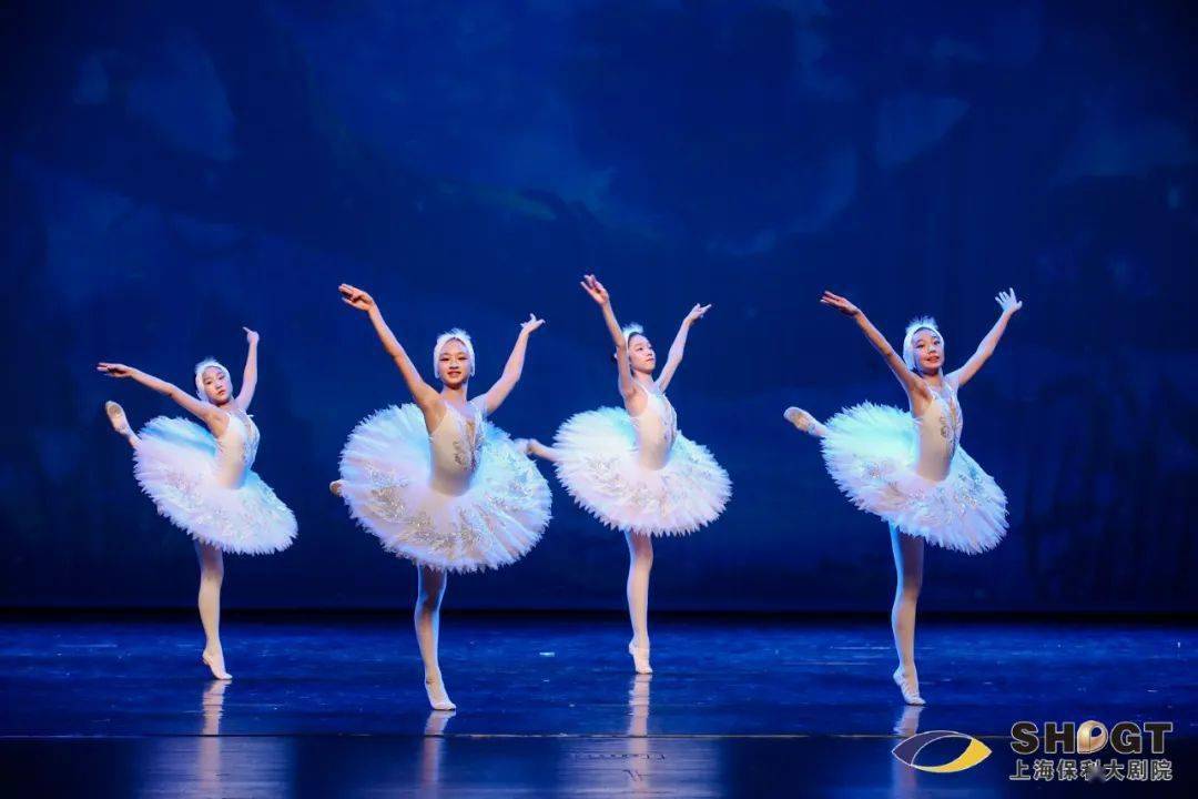 嘉定来了一群美丽的"小天鹅"!附(精彩视频)_舞蹈