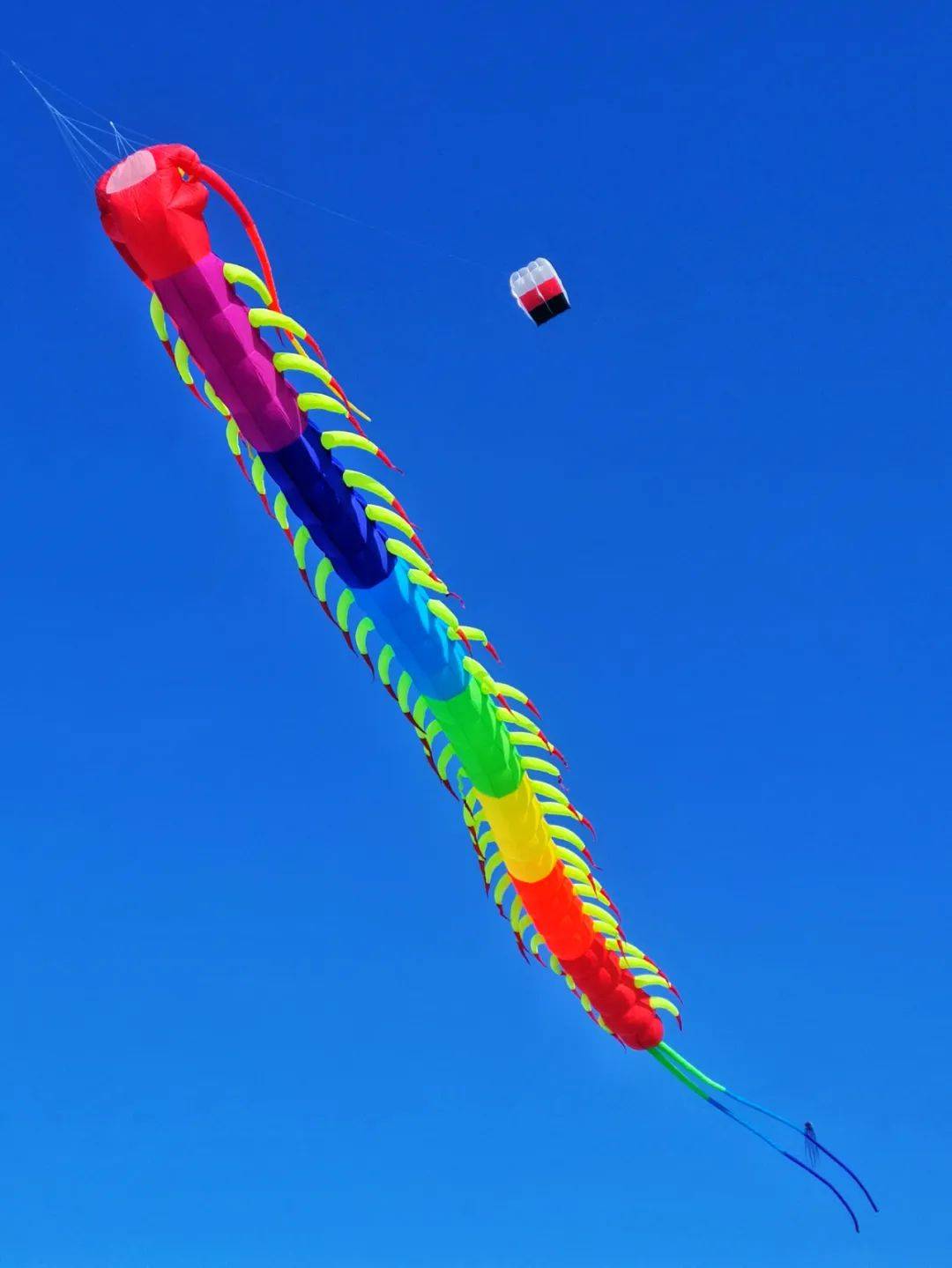 2021江面风筝首秀,真是"好家伙"丨长50米,直径3米"大蜈蚣"飞天贺新年