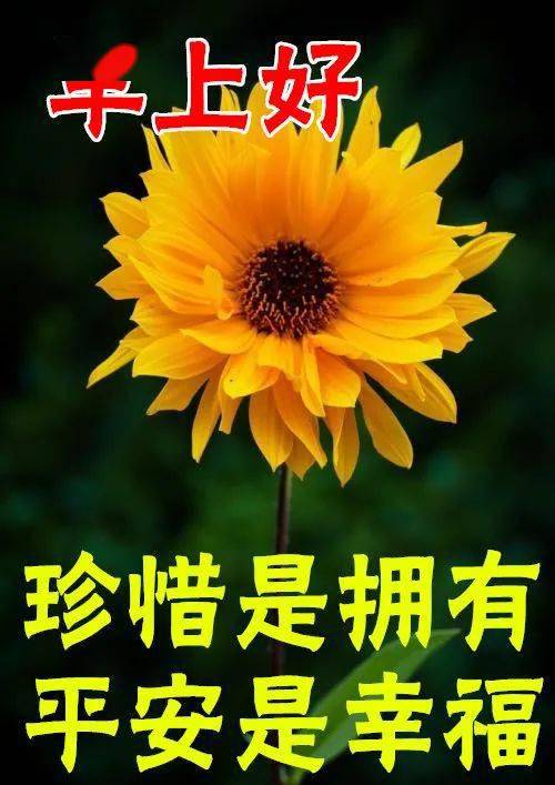 1月4日最漂亮早上好動態表情圖片大全,早晨好動圖美圖大全