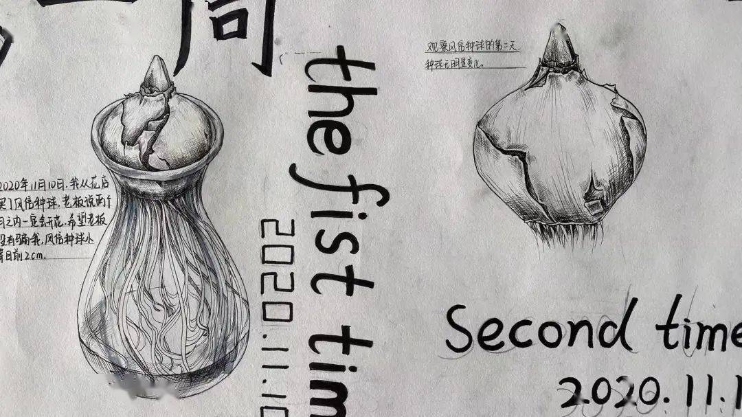 其中,既有川端康成笔下的海棠花,也有平平无奇的土豆星球…最终历时二