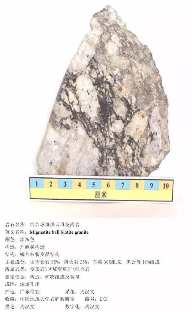 三大岩类190种岩石鉴定图册,看完你就是专家!