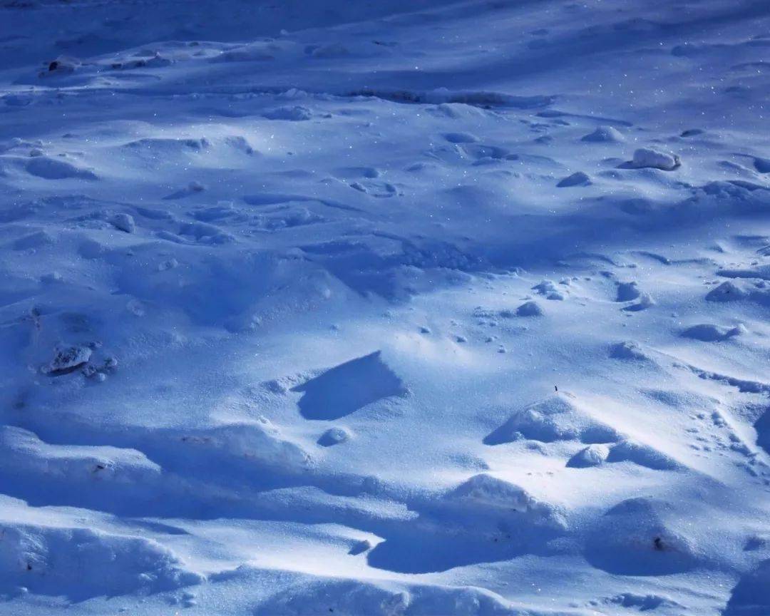 小寒雪落白头不似人间