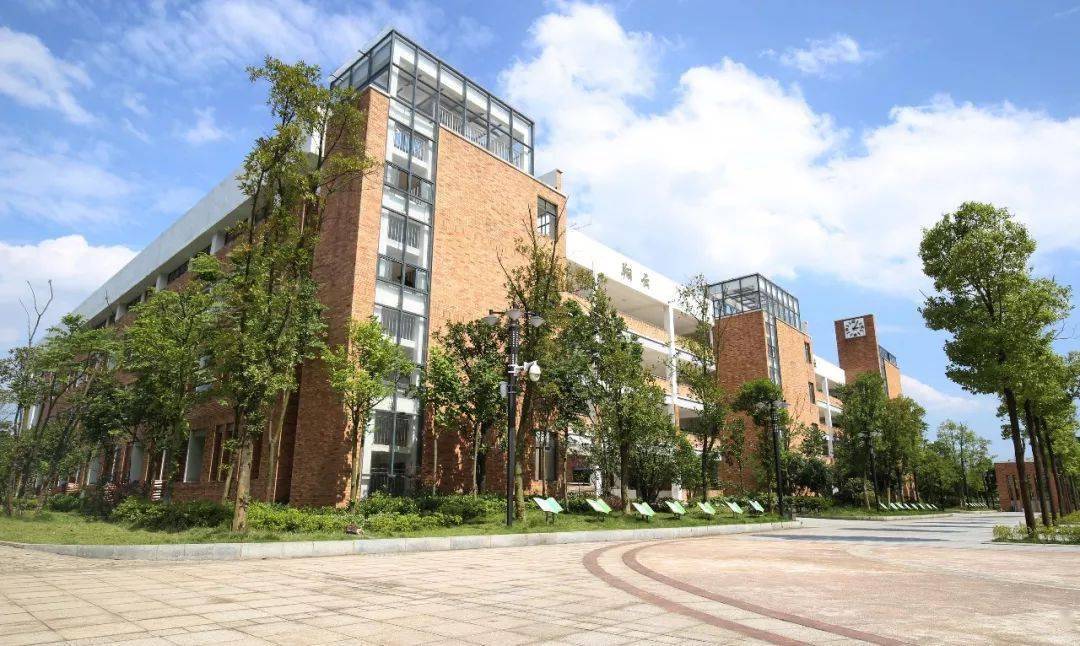 天元小学2021年春季教师招聘公告