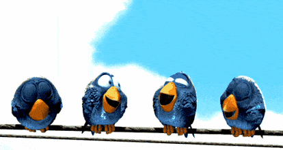 观鸟只观野生鸟,不观笼中鸟;2.