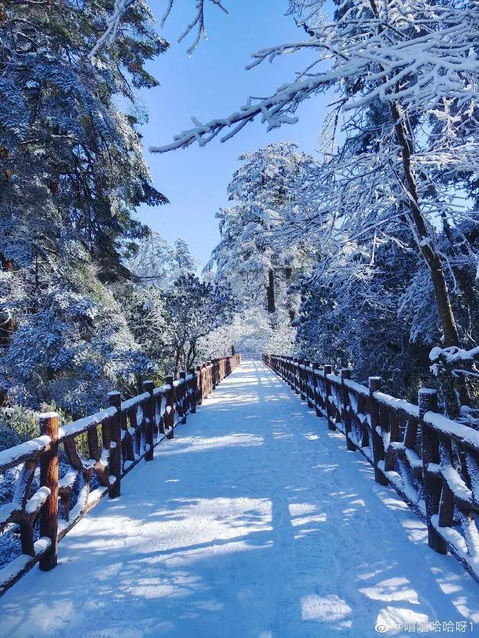 出发去玩雪乐山及周边13处绝美雪景最快当天打来回