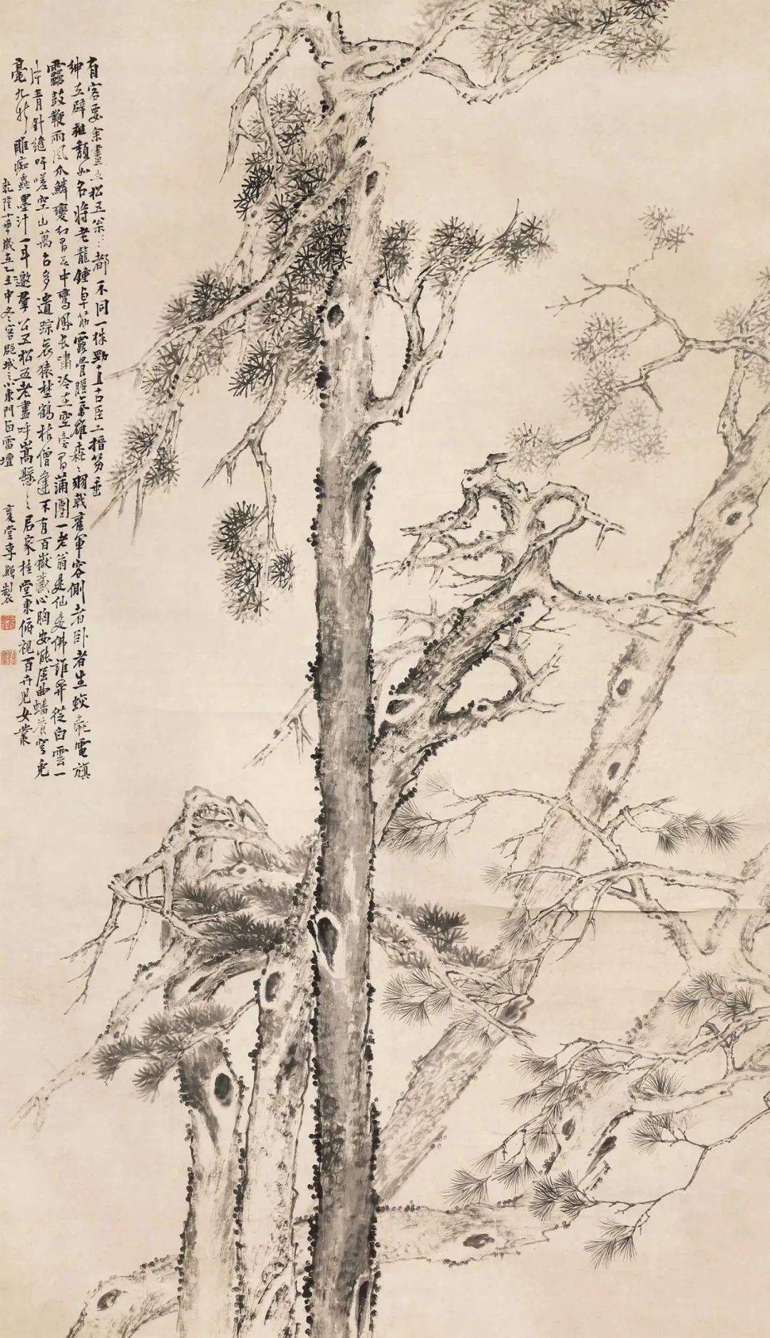 他笔下的松:怪枝横生,盘曲如龙!_松树